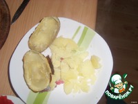 ������-�������� �����������