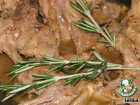 ������ � ���������� �����������