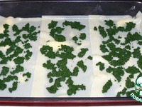 �������  "������" �����������