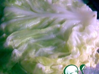 ���������� �� ������� �����������