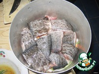 ���� � ������ �����������