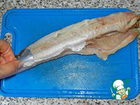 ������ �������� � �������� �����������