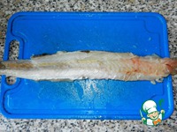 ������ �������� � �������� �����������