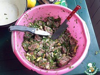 ������ �����������