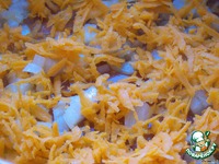 ������������ � ������ � ���������� �����������