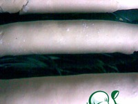 ��������� �������� "���������" �����������