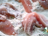 ������� ����, ������� � ���������� "��������" �����������