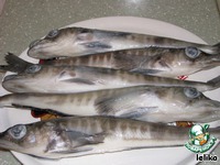 ������� ���� �����������