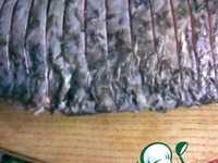 ���, ������� � �������� �����������