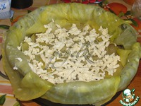 ��������-�������� "�����" � ����� �����������