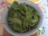 �� ������������ �� ������ �����������