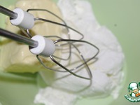 ������ "�������� ������ �����" �����������