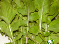 ����� � ����� ����� �����������