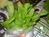 ������ ����� "������� ����������" �����������