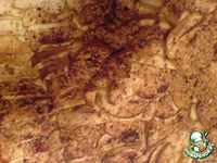 �������� ����� � ������� �����������