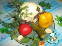 �e���� ������� "������ ���� " �����������