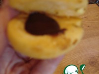 �������� � �������� � �������� �����������