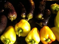 ���� �� ����� ��-������� �����������