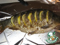 ����, ������������� ����� � ������� �����������