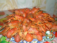 ���-���� "�������" �����������