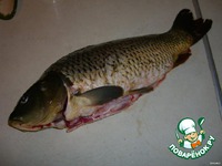 ����, ���������� � ������� �����������