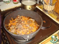 ���� � �������� �����������