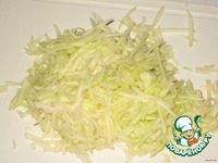 ������ ����-�������� � �������� �����������