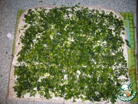 ����� �� ������ � ��������� ��������� �����������