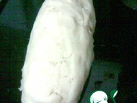 ������������ �������� �����������