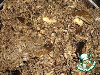 ������������ ���� � ������� �����������