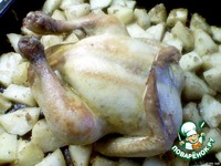 ������������ ������ �����������