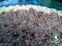 �������� ����� �����������