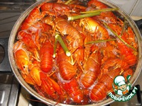 ���� ������� � ������� �����������