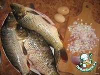 ���� ���������� �����������