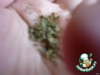 ��� ����������� ������ �����������