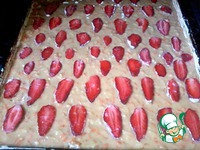 ��������-�������� ���� �����������