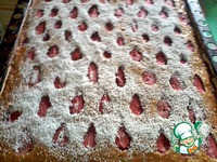 ��������-�������� ���� �����������