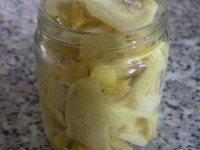 ������������ ������ �����������