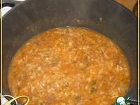 ����� �����������