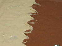 ������ "�������� ���������" �����������