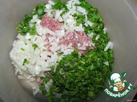 ������ "�������������" �����������