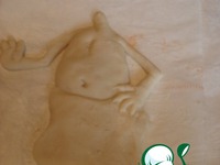 "��, ����, ������! - 2 " �����������