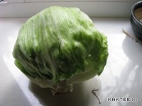 ����� ������ �����������