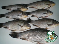 ������ � ������� �����������