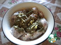 ������ � ������ �����������