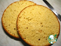 ���������-����������� ���� �����������