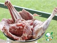 ���� "��������" � ���������� �����������