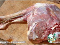 ���� "��������" � ���������� �����������