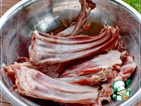 ���� "��������" � ���������� �����������