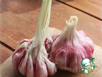 ���� "��������" � ���������� �����������